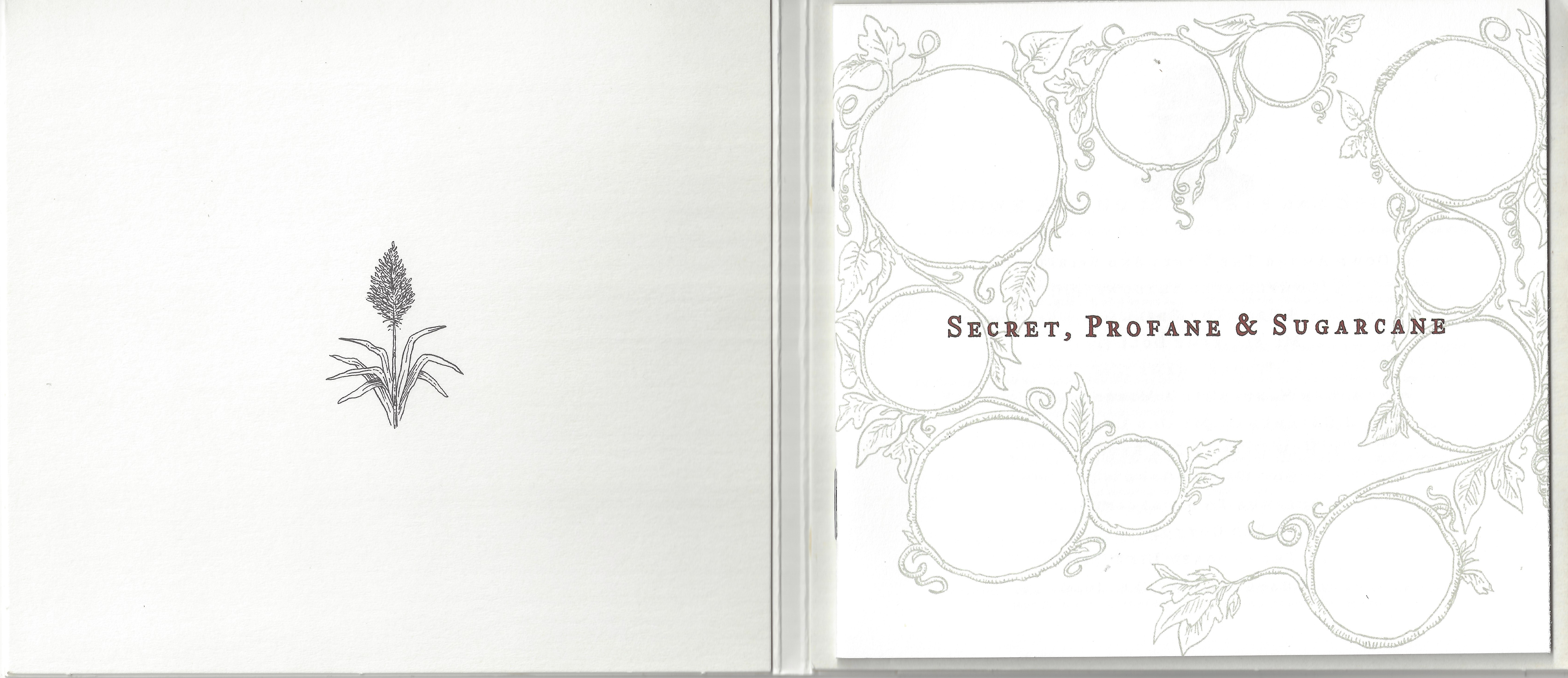 Elvis Costello  Secret, Profane & Sugarcane : Booklet 2